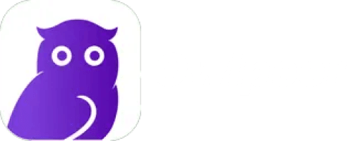 OwlPeer logo